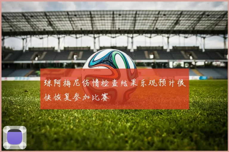 琼阿梅尼伤情检查结果乐观预计很快恢复参加比赛