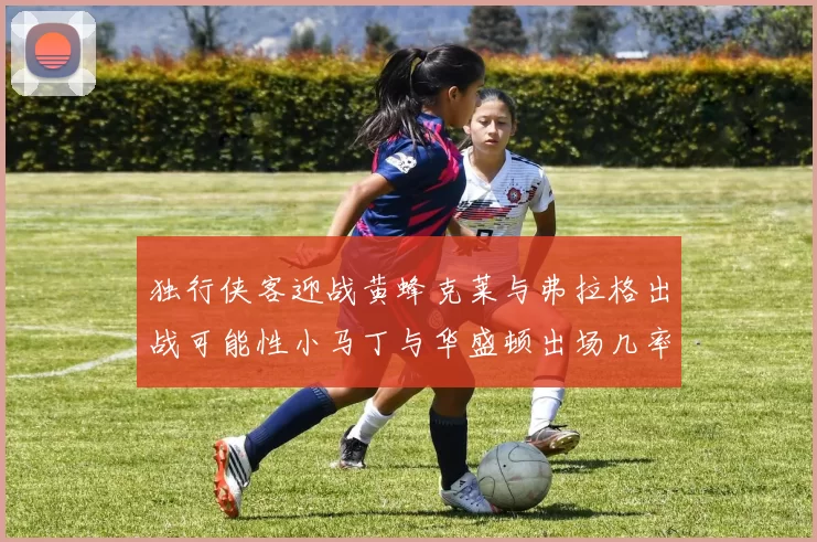 独行侠客迎战黄蜂克莱与弗拉格出战可能性小马丁与华盛顿出场几率高
